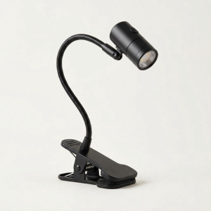 Ledger Clip Lamp